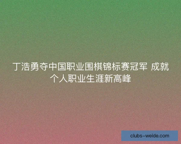 丁浩勇夺中国职业围棋锦标赛冠军 成就个人职业生涯新高峰 丁浩勇夺中国职业围棋锦标赛冠军 成就个人职业生涯新高峰