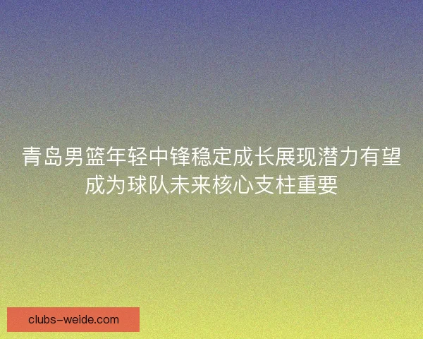 青岛男篮年轻中锋稳定成长展现潜力有望成为球队未来核心支柱重要 青岛男篮年轻中锋稳定成长展现潜力有望成为球队未来核心支柱重要